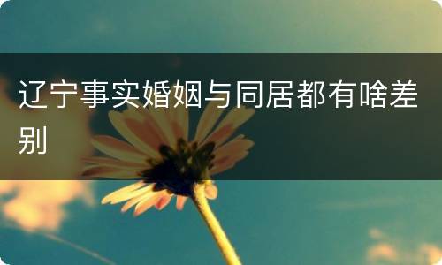 辽宁事实婚姻与同居都有啥差别