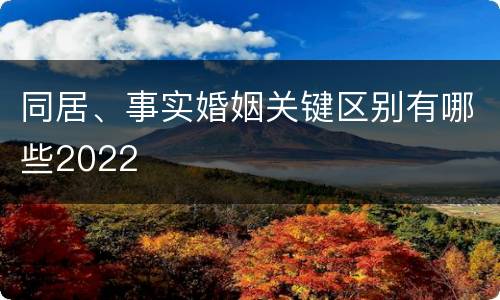 同居、事实婚姻关键区别有哪些2022