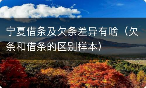 宁夏借条及欠条差异有啥（欠条和借条的区别样本）