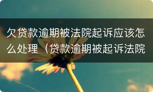 欠贷款逾期被法院起诉应该怎么处理（贷款逾期被起诉法院会怎么判）