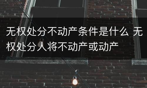 无权处分不动产条件是什么 无权处分人将不动产或动产