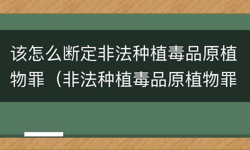 该怎么断定非法种植毒品原植物罪（非法种植毒品原植物罪情节严重的三种情形是什么）