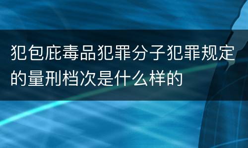 犯包庇毒品犯罪分子犯罪规定的量刑档次是什么样的