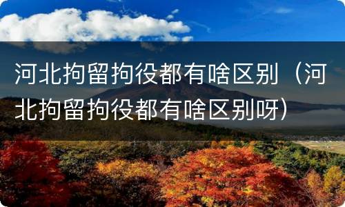 河北拘留拘役都有啥区别（河北拘留拘役都有啥区别呀）