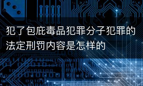 犯了包庇毒品犯罪分子犯罪的法定刑罚内容是怎样的