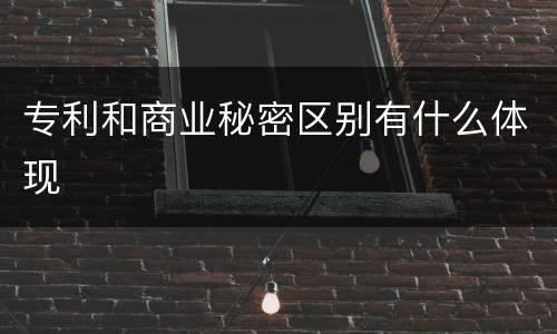专利和商业秘密区别有什么体现