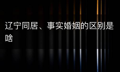 辽宁同居、事实婚姻的区别是啥