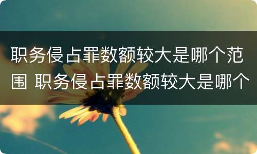 职务侵占罪数额较大是哪个范围 职务侵占罪数额较大是哪个范围规定的