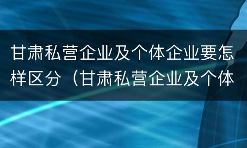 甘肃私营企业及个体企业要怎样区分（甘肃私营企业及个体企业要怎样区分呢）