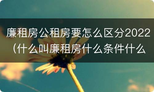 廉租房公租房要怎么区分2022（什么叫廉租房什么条件什么叫公租房）