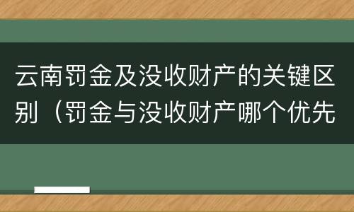 云南罚金及没收财产的关键区别（罚金与没收财产哪个优先）