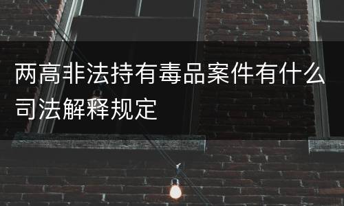 两高非法持有毒品案件有什么司法解释规定