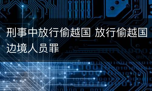 刑事中放行偷越国 放行偷越国边境人员罪
