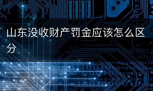 山东没收财产罚金应该怎么区分