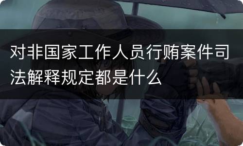 对非国家工作人员行贿案件司法解释规定都是什么