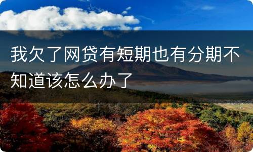我欠了网贷有短期也有分期不知道该怎么办了