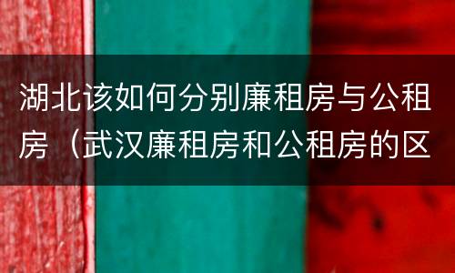 湖北该如何分别廉租房与公租房（武汉廉租房和公租房的区别）