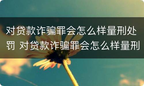 对贷款诈骗罪会怎么样量刑处罚 对贷款诈骗罪会怎么样量刑处罚多少钱