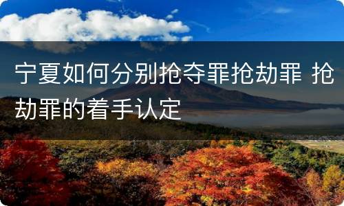 宁夏如何分别抢夺罪抢劫罪 抢劫罪的着手认定