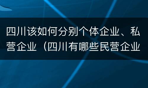 四川该如何分别个体企业、私营企业（四川有哪些民营企业）