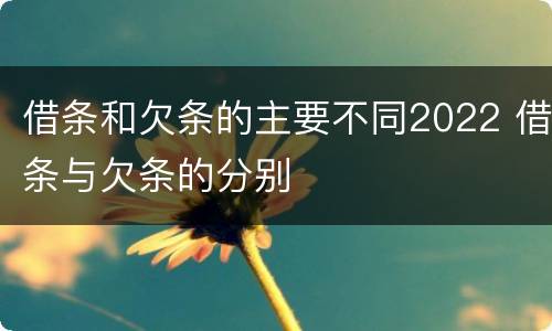 借条和欠条的主要不同2022 借条与欠条的分别