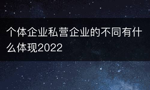 个体企业私营企业的不同有什么体现2022