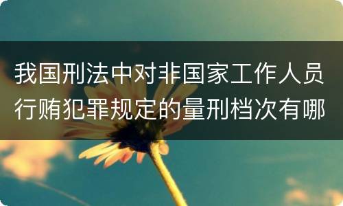 我国刑法中对非国家工作人员行贿犯罪规定的量刑档次有哪些