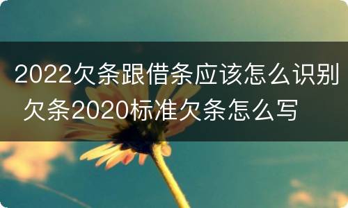 2022欠条跟借条应该怎么识别 欠条2020标准欠条怎么写