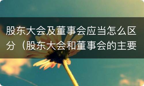 股东大会及董事会应当怎么区分（股东大会和董事会的主要职责）