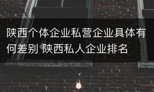 陕西个体企业私营企业具体有何差别 陕西私人企业排名