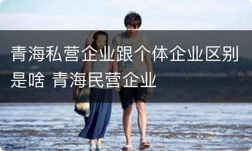 青海私营企业跟个体企业区别是啥 青海民营企业