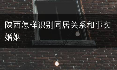 陕西怎样识别同居关系和事实婚姻