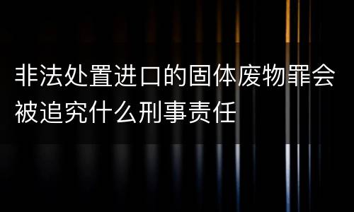 非法处置进口的固体废物罪会被追究什么刑事责任