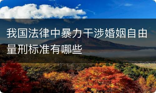 我国法律中暴力干涉婚姻自由量刑标准有哪些