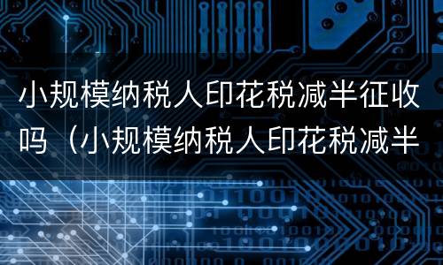 小规模纳税人印花税减半征收吗（小规模纳税人印花税减半征收吗怎么申报）