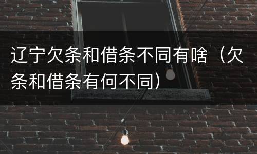 辽宁欠条和借条不同有啥（欠条和借条有何不同）