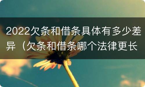 2022欠条和借条具体有多少差异（欠条和借条哪个法律更长）