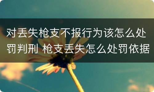 对丢失枪支不报行为该怎么处罚判刑 枪支丢失怎么处罚依据