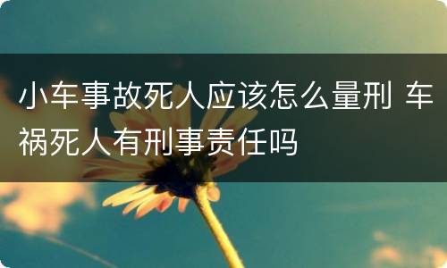 小车事故死人应该怎么量刑 车祸死人有刑事责任吗