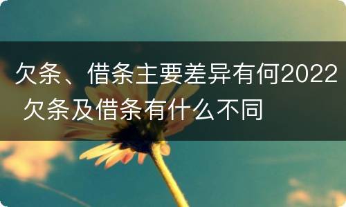 欠条、借条主要差异有何2022 欠条及借条有什么不同