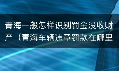 青海一般怎样识别罚金没收财产（青海车辆违章罚款在哪里交）