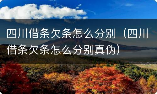 四川借条欠条怎么分别（四川借条欠条怎么分别真伪）