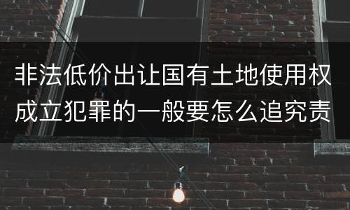 非法低价出让国有土地使用权成立犯罪的一般要怎么追究责任