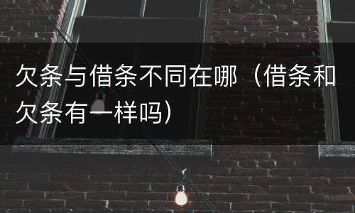 欠条与借条不同在哪（借条和欠条有一样吗）