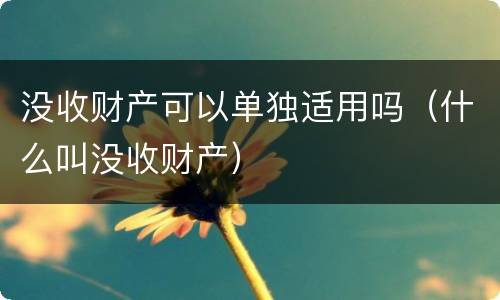 没收财产可以单独适用吗（什么叫没收财产）