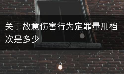 关于故意伤害行为定罪量刑档次是多少