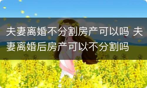 夫妻离婚不分割房产可以吗 夫妻离婚后房产可以不分割吗