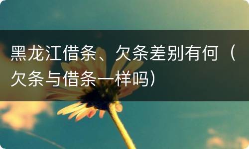 黑龙江借条、欠条差别有何（欠条与借条一样吗）