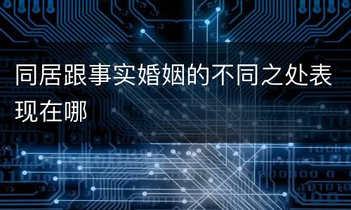 同居跟事实婚姻的不同之处表现在哪