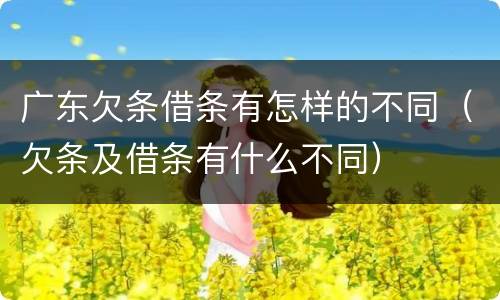 广东欠条借条有怎样的不同（欠条及借条有什么不同）